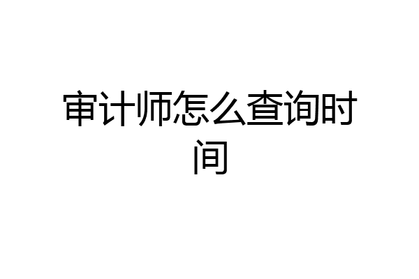 审计师怎么查询时间
