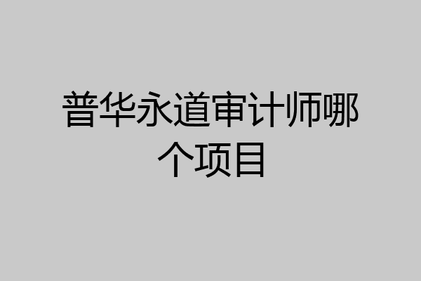 普华永道审计师哪个项目