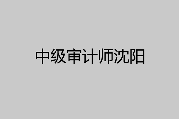 中级审计师沈阳