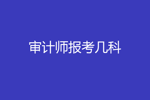审计师报考几科