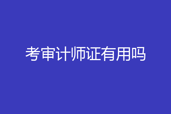 考审计师证有用吗