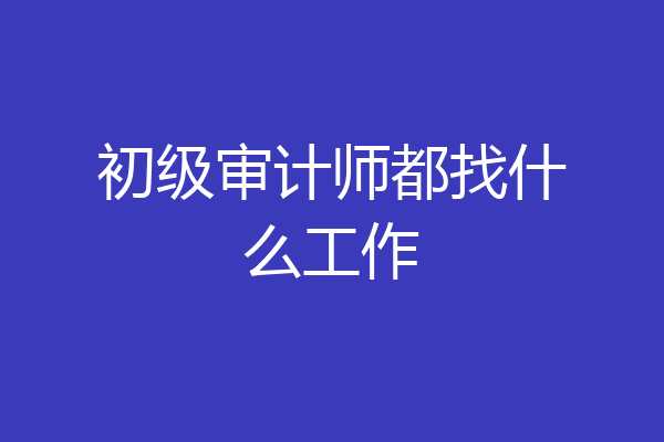 初级审计师都找什么工作