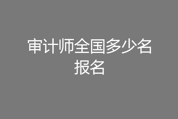 审计师全国多少名报名