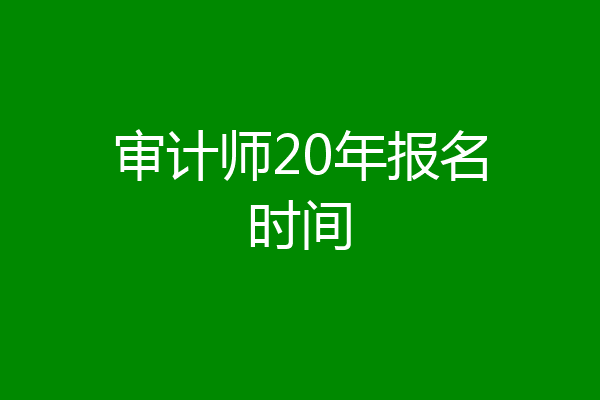 审计师20年报名时间