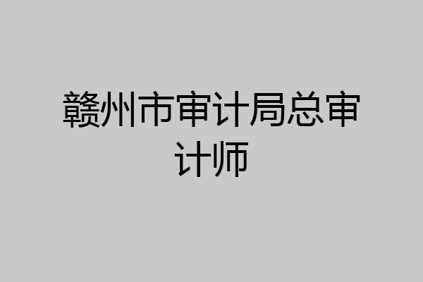 赣州市审计局总审计师