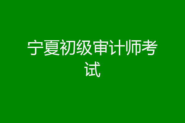 宁夏初级审计师考试