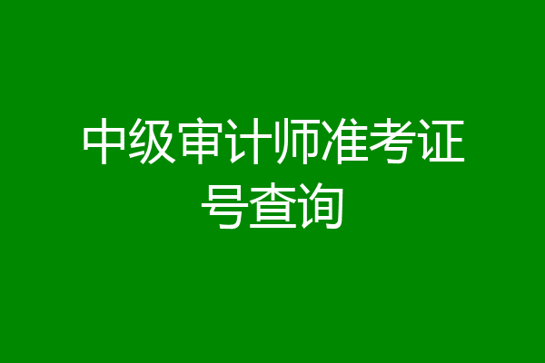 中级审计师准考证号查询