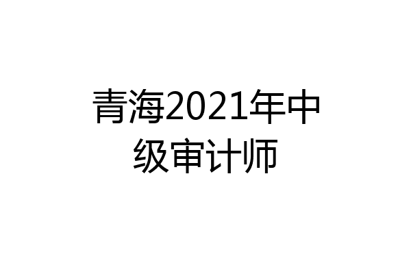 青海2021年中级审计师