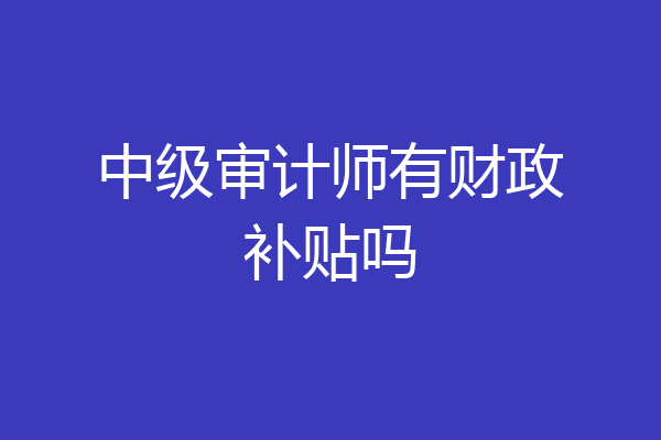 中级审计师有财政补贴吗