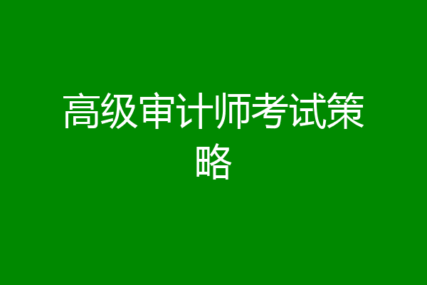 高级审计师考试策略