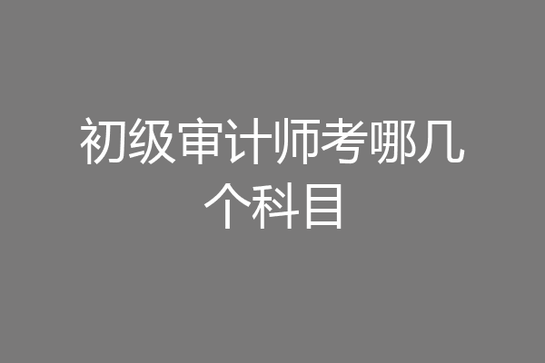 初级审计师考哪几个科目
