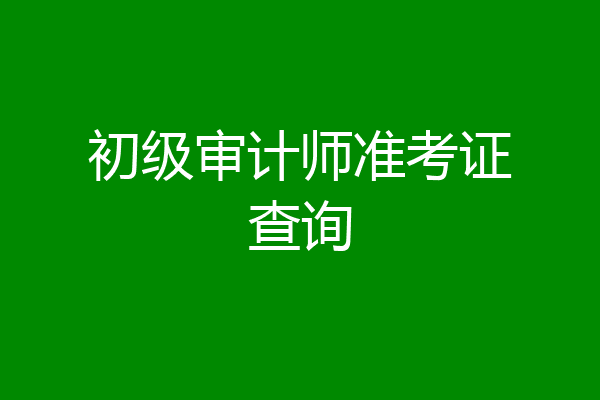 初级审计师准考证查询