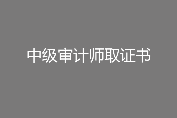中级审计师取证书