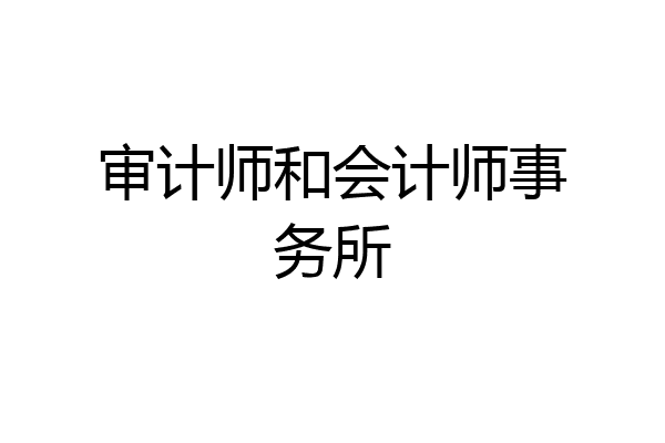 审计师和会计师事务所