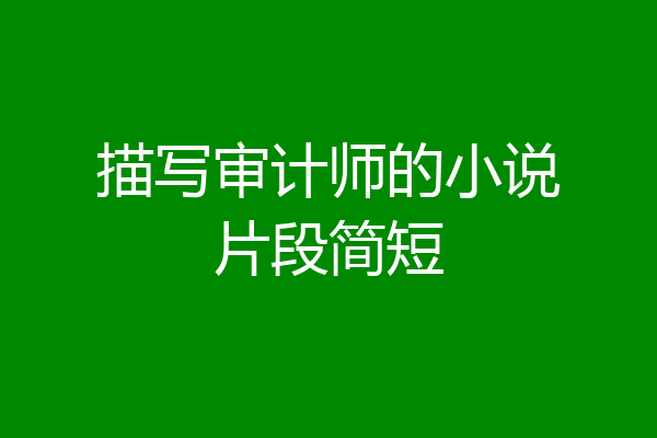 描写审计师的小说片段简短