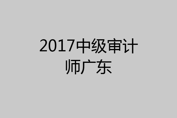 2017中级审计师广东