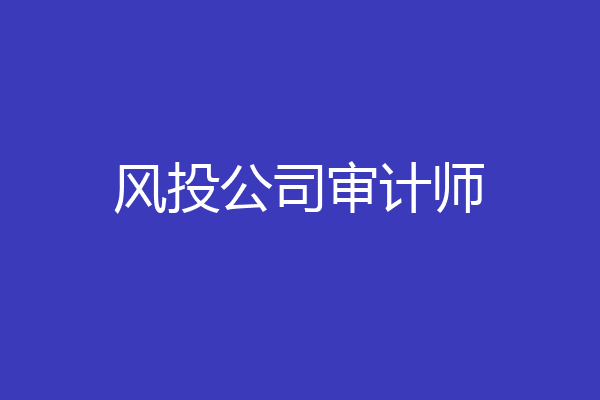 风投公司审计师