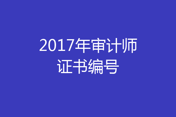 2017年审计师证书编号