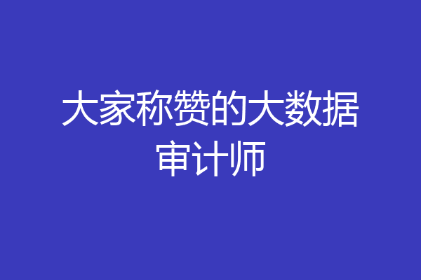 大家称赞的大数据审计师
