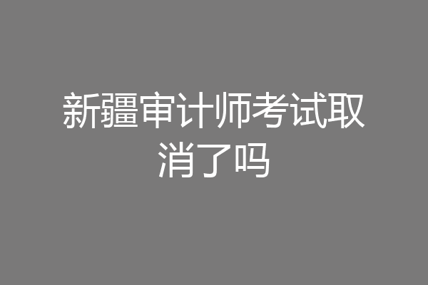 新疆审计师考试取消了吗
