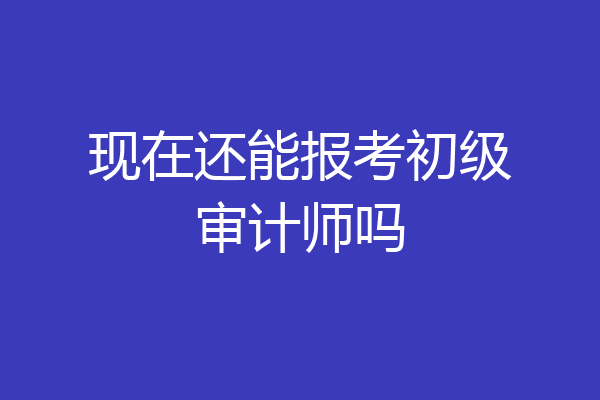 现在还能报考初级审计师吗