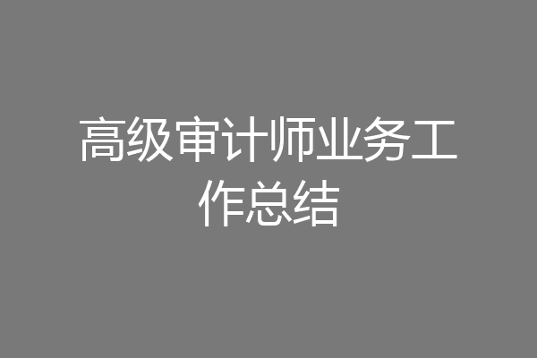 高级审计师业务工作总结
