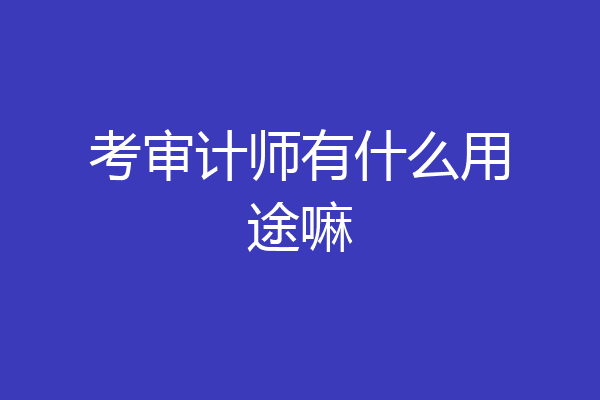 考审计师有什么用途嘛
