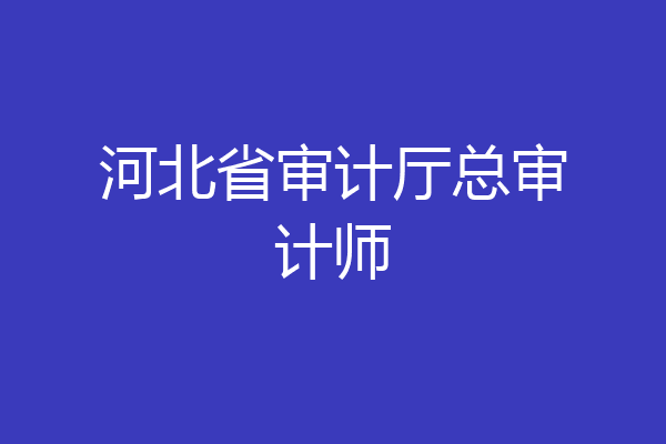 河北省审计厅总审计师
