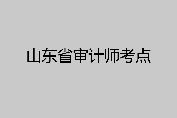 山东省审计师考点
