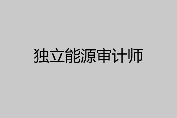 独立能源审计师