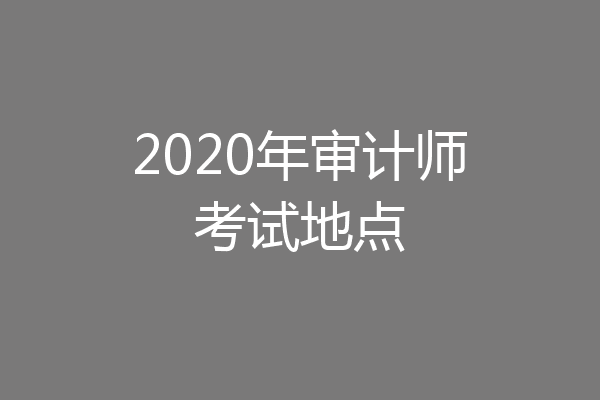 2020年审计师考试地点