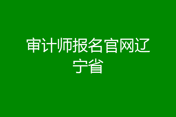 审计师报名官网辽宁省