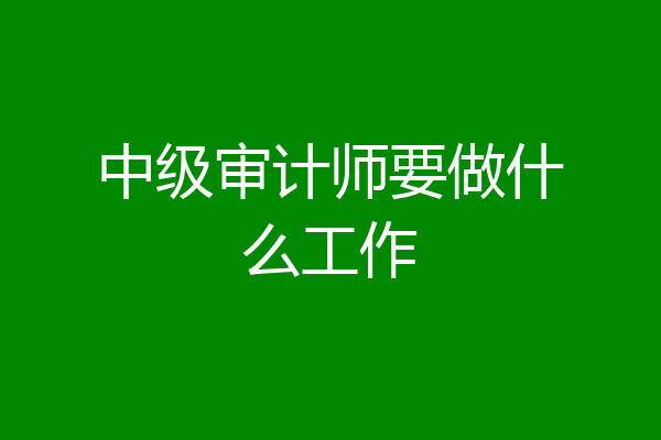 中级审计师要做什么工作