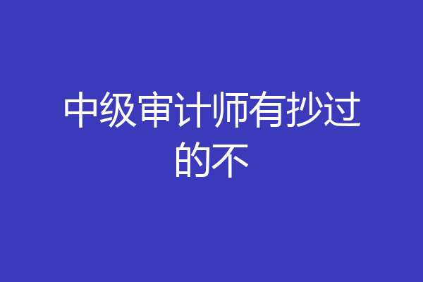 中级审计师有抄过的不