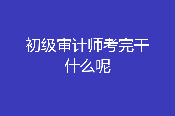 初级审计师考完干什么呢
