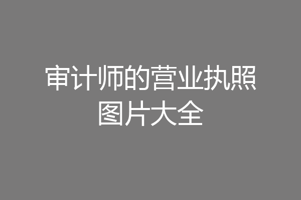 审计师的营业执照图片大全