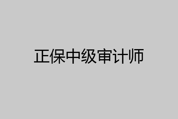 正保中级审计师