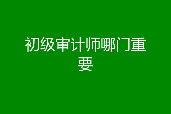初级审计师哪门重要