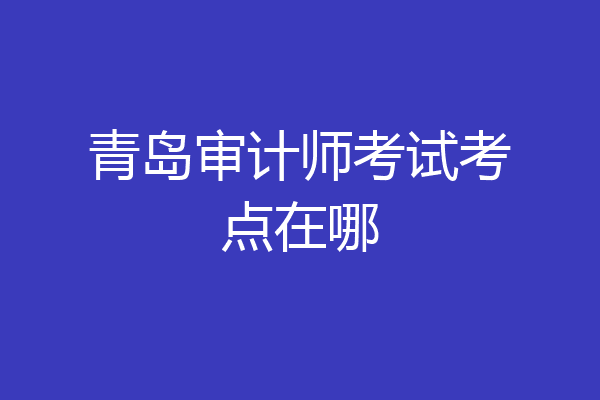 青岛审计师考试考点在哪