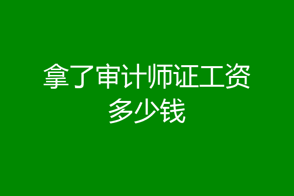拿了审计师证工资多少钱