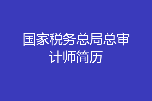 国家税务总局总审计师简历