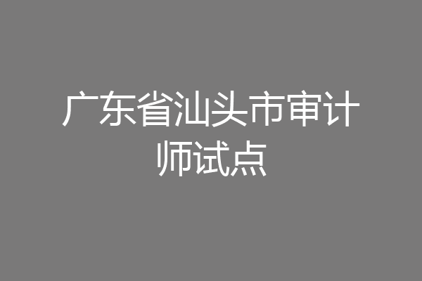 广东省汕头市审计师试点