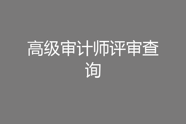 高级审计师评审查询