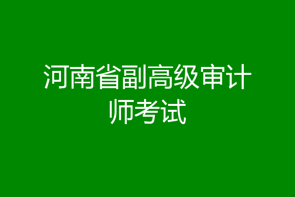 河南省副高级审计师考试