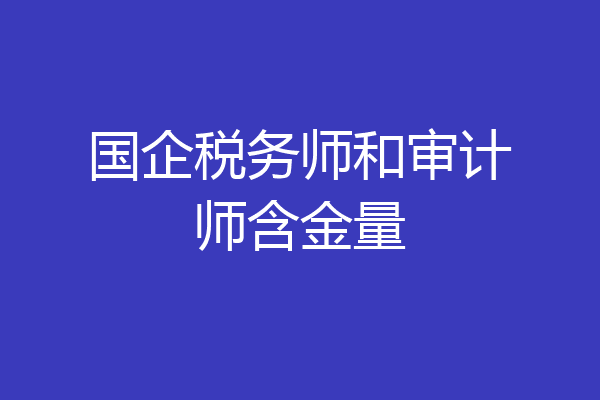 国企税务师和审计师含金量