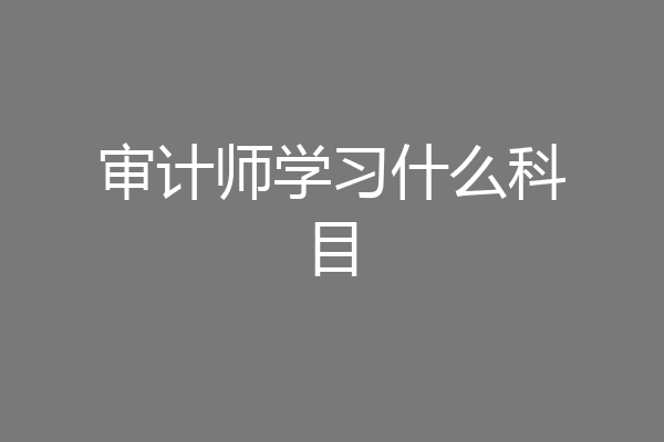 审计师学习什么科目