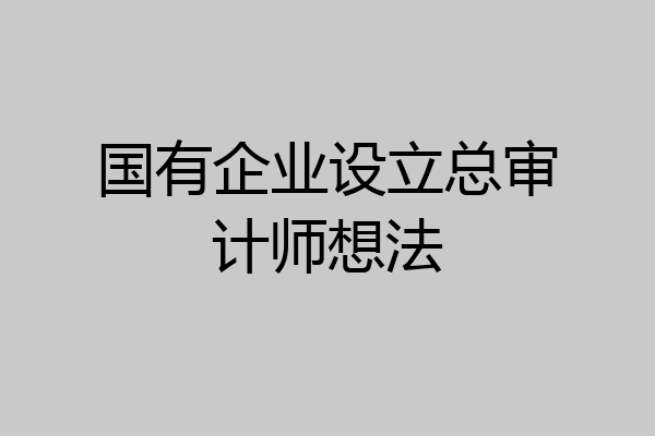 国有企业设立总审计师想法