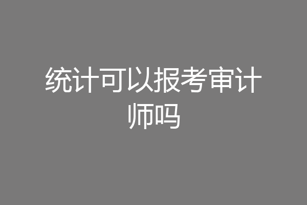 统计可以报考审计师吗