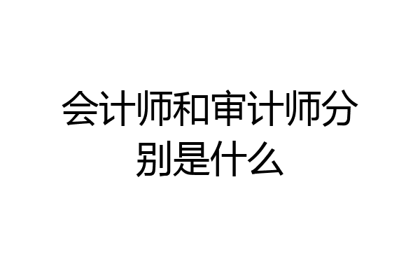 会计师和审计师分别是什么