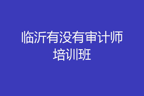 临沂有没有审计师培训班